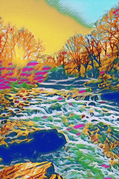 The Dart in Dartmoor